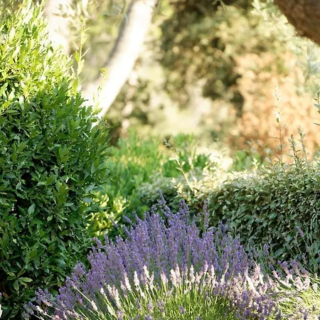 Domaine La Pierre Blanche 4* Eygalières